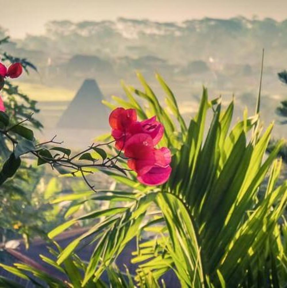 Meet your Posher, Marcia